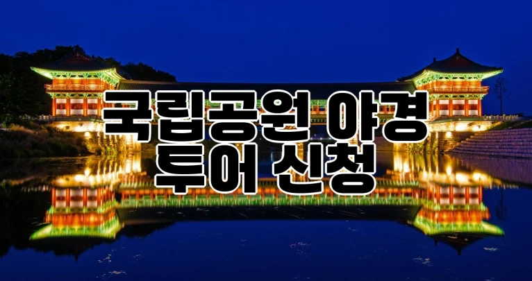 한정 인원 20명! 국립공원 밤풍경 탐방 신청 방법 및 운영 기간 안내